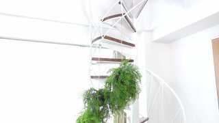 J-Girl Yummy: Sumire Akihara - Scene1 - 1