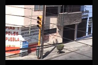 Third World Amateurs In Mexico - Scene1 - 1