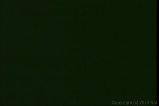 Real Big Afro Tits 7 - Scena1 - 1