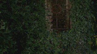 Submissive Pixies Fetish Desires - Scena2 - 1