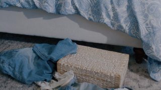 Quashing Her Cravings - Scene2 - 1