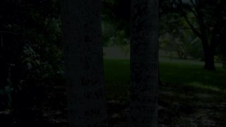 Interracial Teen Desires 3 - Scene4 - 1