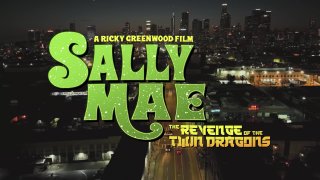 Sally Mae: Revenge Of The Twin Dragons, The - Scene1 - 1