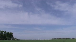 Vogel(n) im Wald 3 - Escena4 - 1