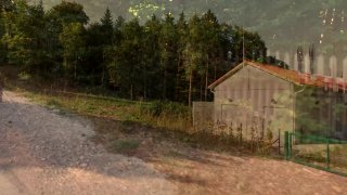 Vogel(n) im Wald 3 - Escena5 - 1