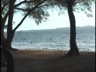 Debauchery Vol. 1 - Scene2 - 1