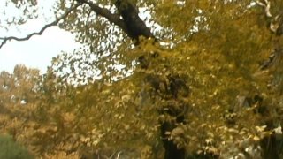 Heisse Urlaubs-Ficks - Escena3 - 1