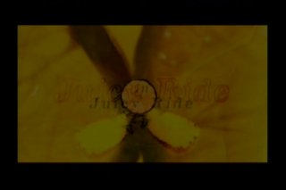 Private XXX Vol. 4 - Escena5 - 1