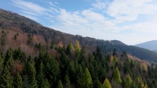 Lavish Vol. 6 - Scena3 - 1