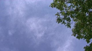 Sauerei im Schweinestall 4 - Scena1 - 1