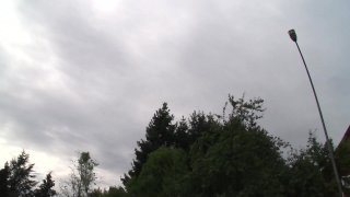 Sauerei im Schweinestall 4 - Scena2 - 1