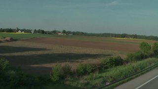 Sauerei im Schweinestall 4 - Scena4 - 6