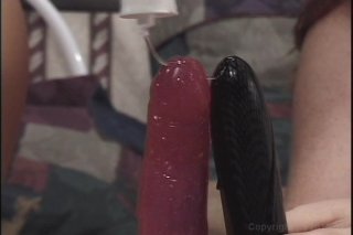 Amazing Lactations: The Lesbians - Scene1 - 5