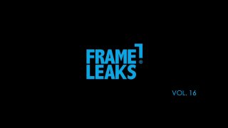 Frame Leaks 16 - Cena1 - 1