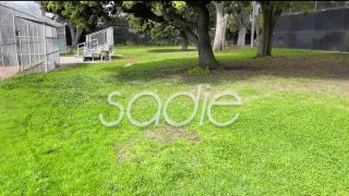 MILF Trip Volume No. 21 - Scena2 - 1