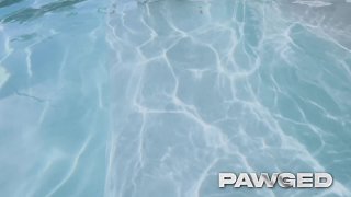 Pawged Vol. 10 - Cena1 - 1