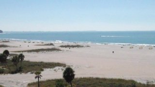 100% Real Swingers: Tampa - Scene1 - 1