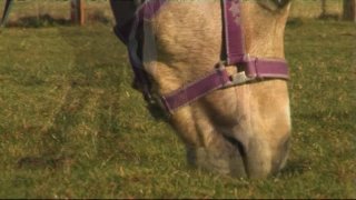 Heavy Petting - Escena2 - 1