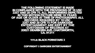 Black Porn Stars 3 - Escena4 - 6