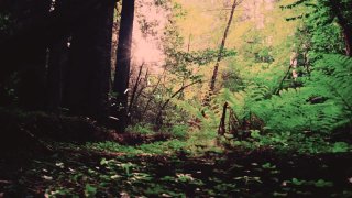 Nasty Moment - Scène1 - 1