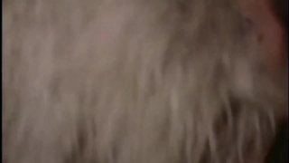 Pussy Lust 5 - Cena1 - 2