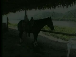 Just Kinky Sex! 2 - Escena3 - 1