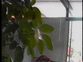 Seymore Butts&#39; in the Love Shack - Scena6 - 2