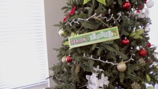 Busty Vol. 11: Racked &amp; Stacked - Scene2 - 1