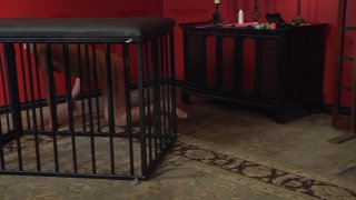 Bella Bathory: Sadistic In Pink - Escena4 - 6