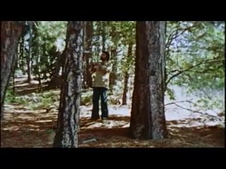 Virgin Forest Remastered Grindhouse Edition - Scene1 - 4