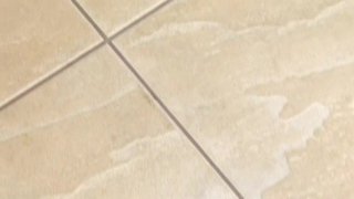 My Tranny Girlfriend - Cena2 - 6