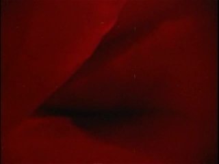 The Dick And I - Remastered Grindhouse Edition - Escena1 - 4