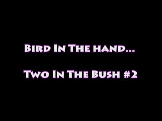 Bird In The Hand, Two In The Bush! - Cena1 - 1