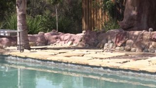 MILF Mania Vol. 5 - Szene2 - 1