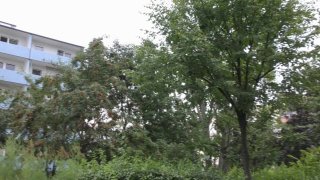 Das verfickte Mietshaus 8 - Scene5 - 1