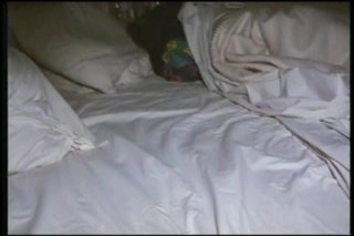 Seymore Butts In Paradise - Scene3 - 1