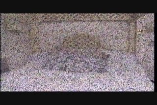 Dirty Debutantes #218 - Scene1 - 1