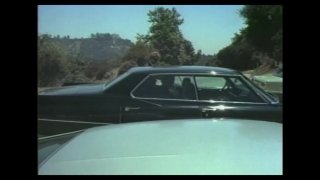 Reservoir Cats - Scena1 - 2