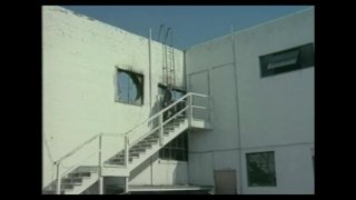 Reservoir Cats - Scena2 - 1