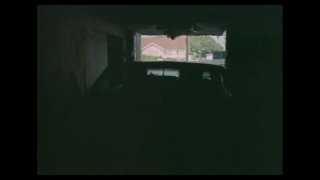 Reservoir Cats - Scena2 - 6