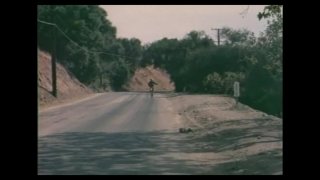 Reservoir Cats - Scena4 - 1