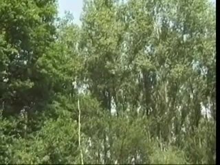 Holland - Toverstokje - Scene1 - 1