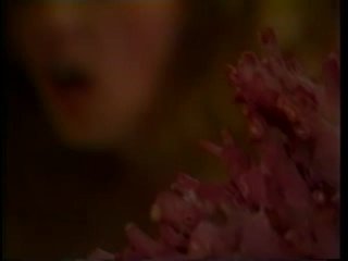 Cumshot Heaven - Scene19 - 1