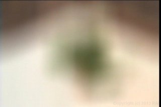 Itty Bitty Titty Nurses - Scene2 - 1