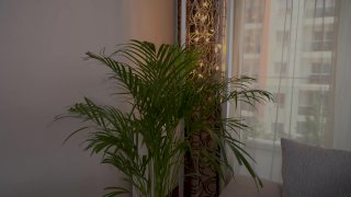 Mommie Is MILF as Fuck - Scena2 - 1