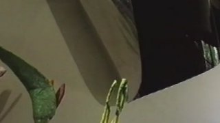 So Vintage Anal - Scene4 - 1