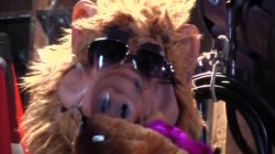 'This Ain't Hollywood Squares XXX' screenshot nº 4