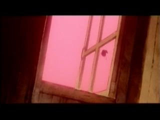 Imma Yojo #6 - Scene5 - 1
