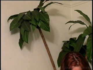 40 + and Humming - Scene1 - 1
