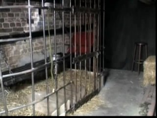 Glucksrad - Scene2 - 6